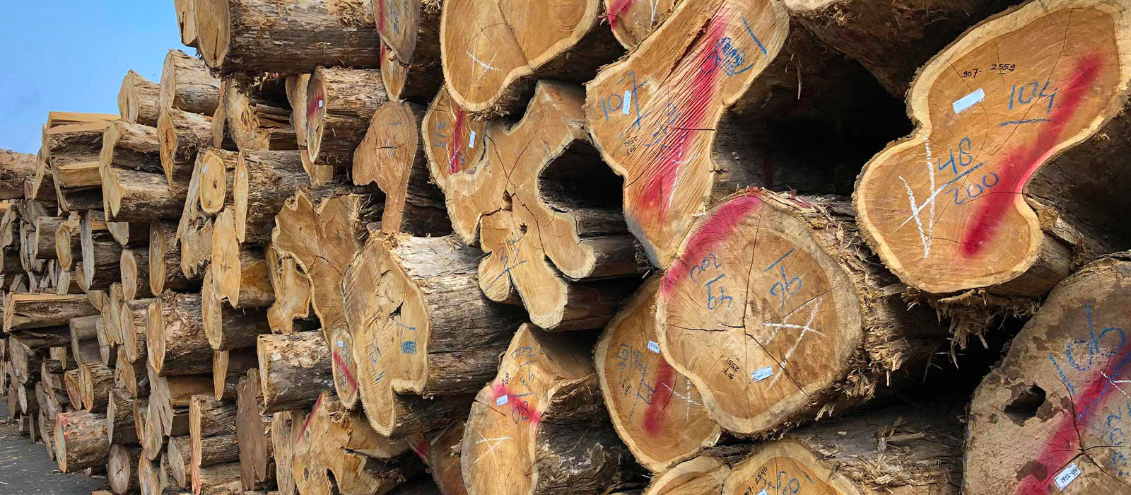 teak_unopiu_certificazioni