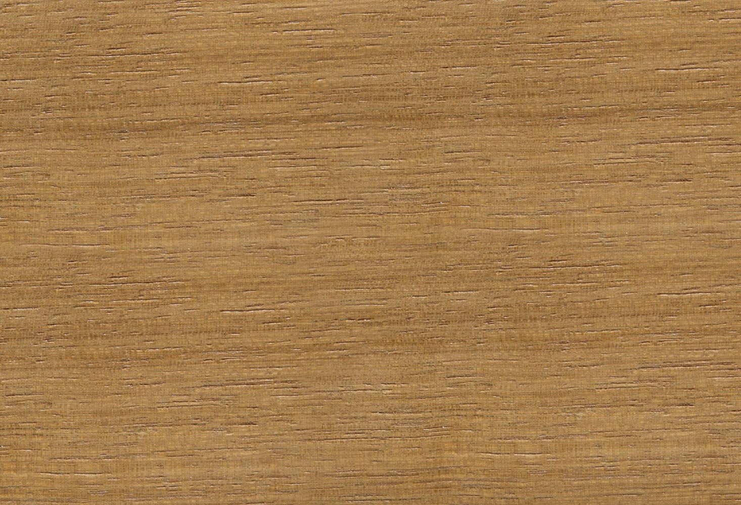 Iroko wood