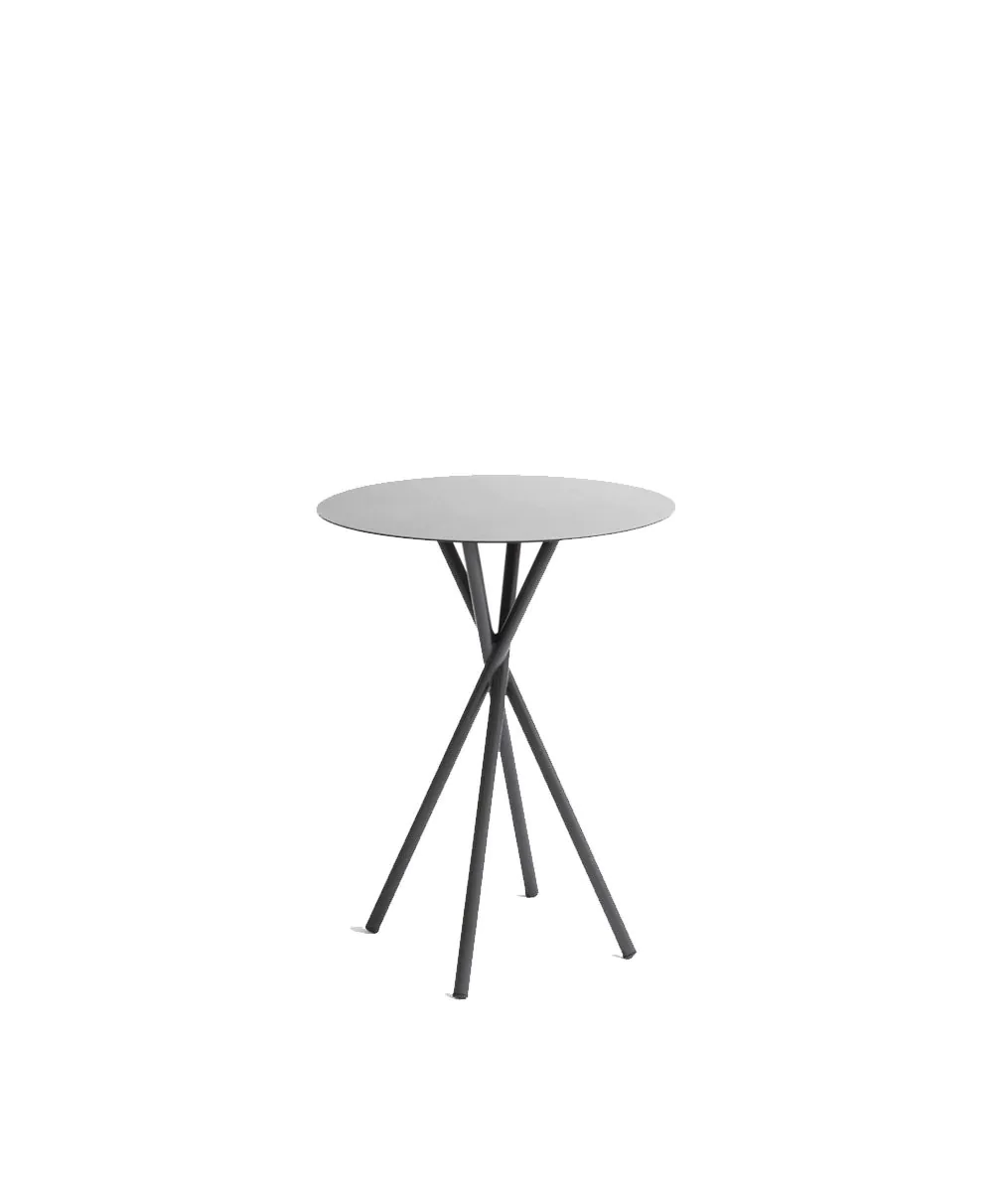 Coco table in metal