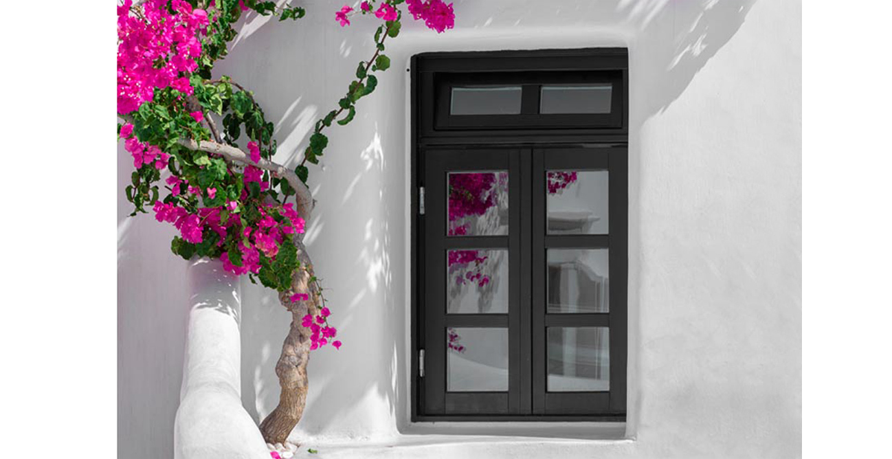 Plants that give your garden a new look 