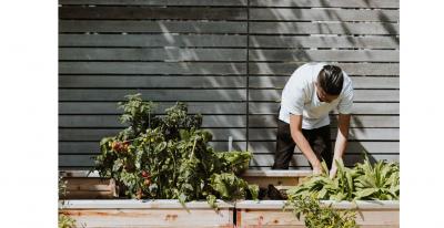 Giardinaggio fai da te