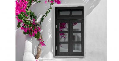 Plants that give your garden a new look 