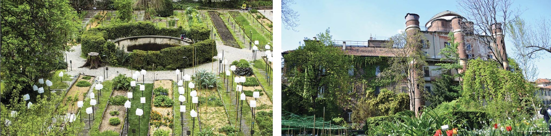 Orto botanico di Brera