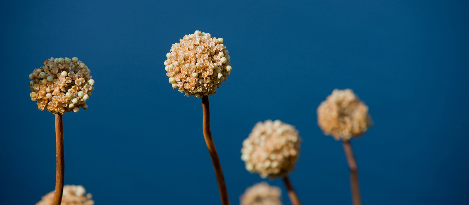 Materialien und Nachhaltigkeit für Gartenmöbel